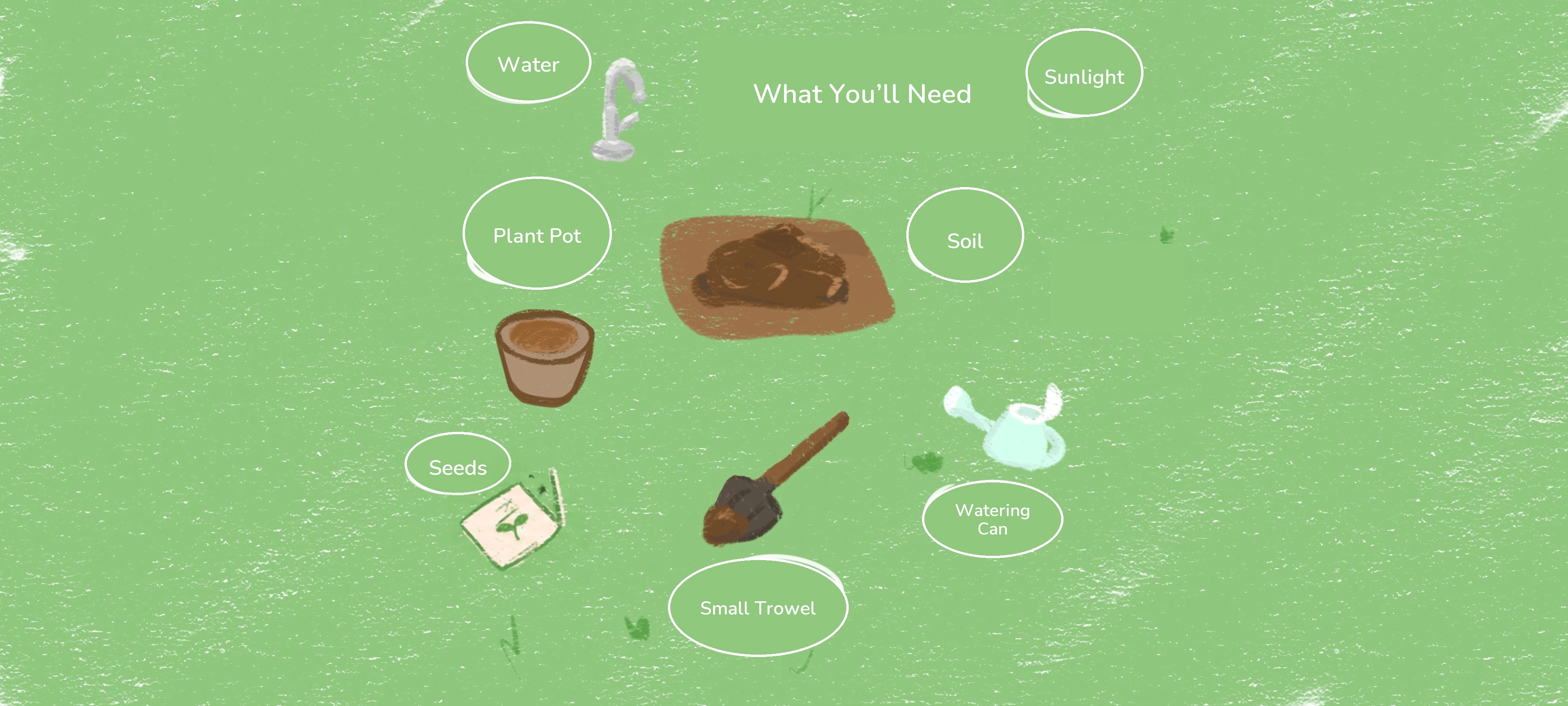 Watch a Seed Grow, preparation