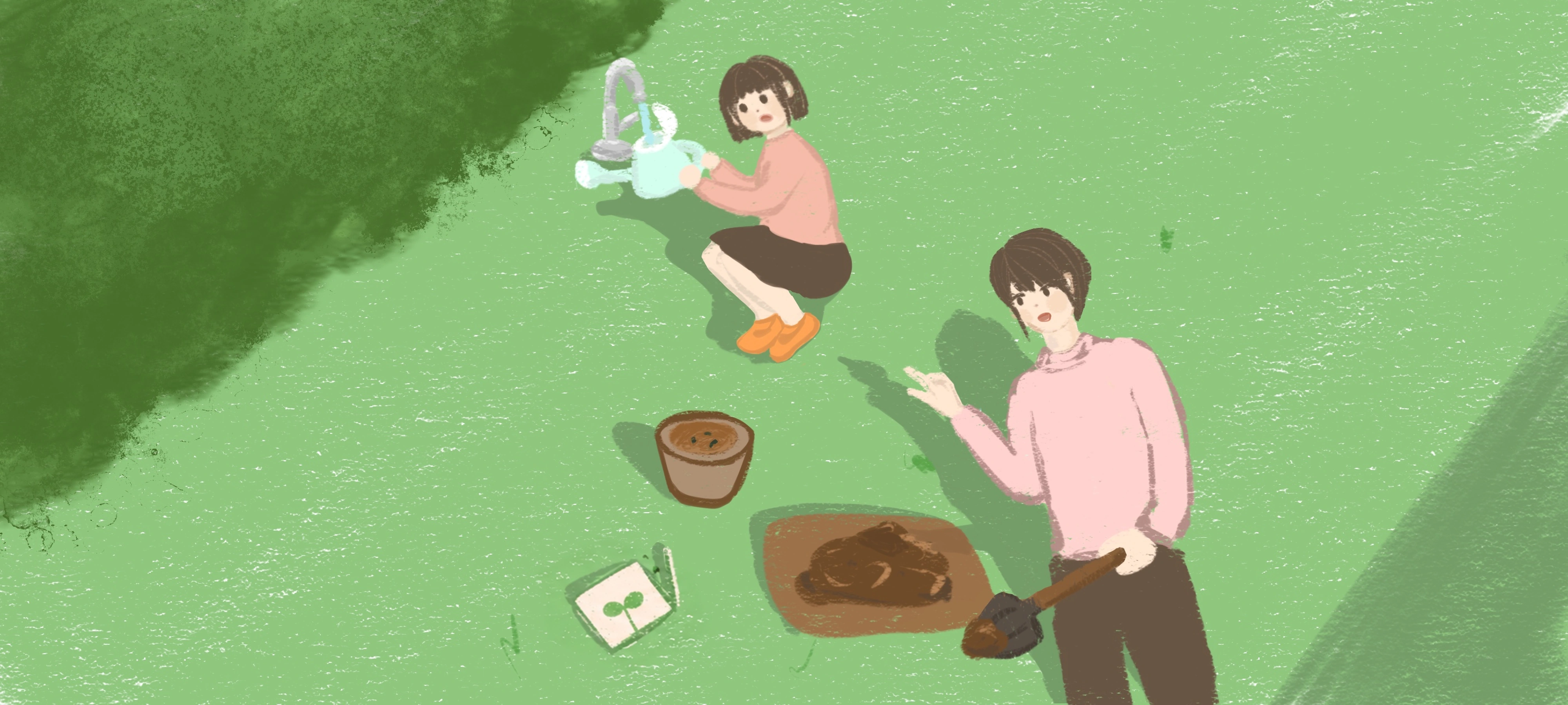 Watch a Seed Grow, step 1